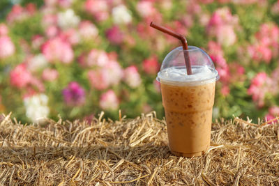 Close-up of drink in glass
