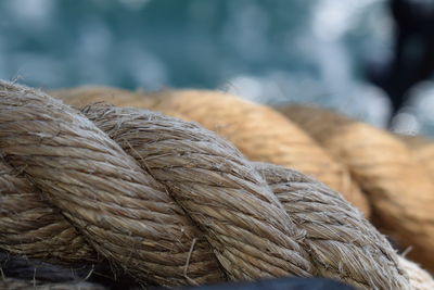 Close-up of a rope