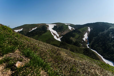 Scenic view of landscape against clear sky