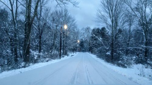 Road amidst bare trees during winter at night