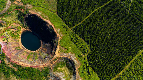 High angle view of leaf on land