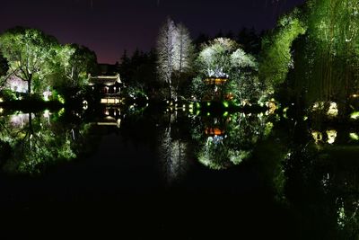 Illuminated trees against sky at night