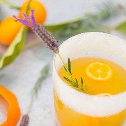 Close-up of lavender flower in kumquat margarita