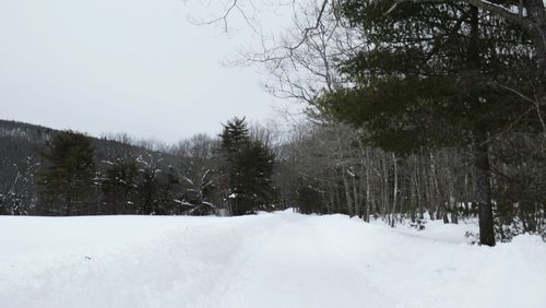 Scenic view of snow covered landscape