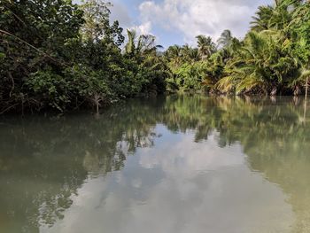 Scenic view of lake in forest against sky