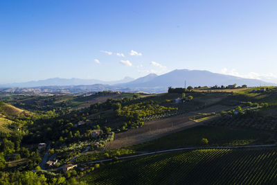 Scenic view of vineyard against sky