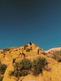 Scenic view of landscape against clear blue sky