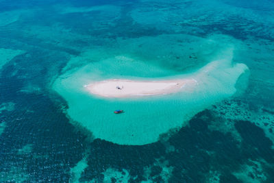 Low section of person swimming in sea