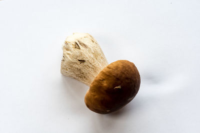 Close-up of fruit against white background