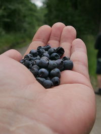 Close-up of hand holding fruit