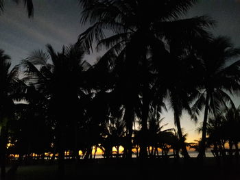 Silhouette of palm trees against sky at sunset