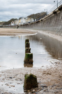 Wooden posts on the beach