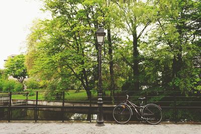 Bicycle against trees