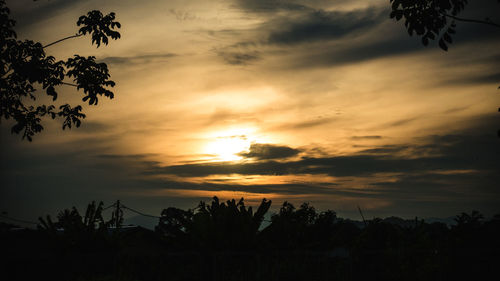 Low angle view of silhouette trees against sky during sunset