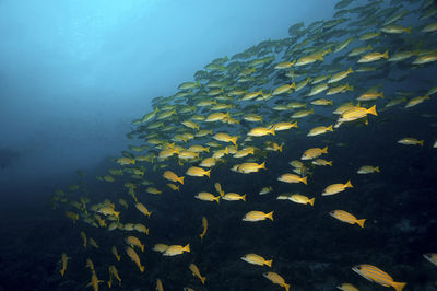 High angle view of sea