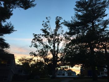 Low angle view of silhouette trees against sky at sunset