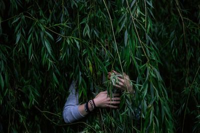 Woman hiding behind branches