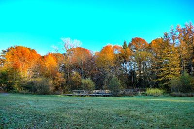 Scenic view of field against clear sky