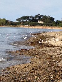 Scenic view of calm sea against sky