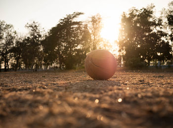 Surface level of ball on field against trees at sunset