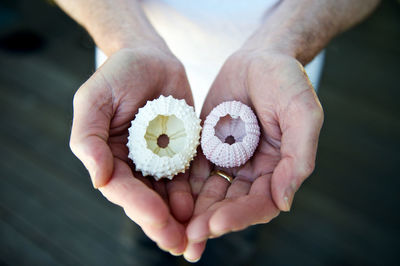 Low section of man holding seashells on boardwalk