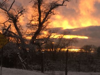 Bare trees on landscape against sky during sunset