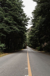 Empty road amidst trees against sky