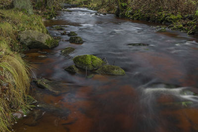 Stream flowing through rocks in forest