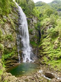 Scenic view of waterfall in forest