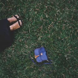 High angle view of person hand on field