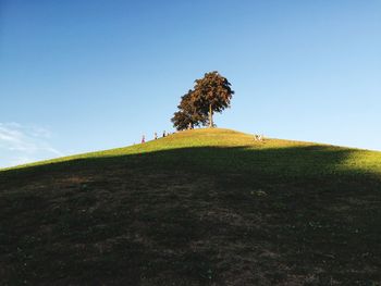 Tree on field against clear blue sky