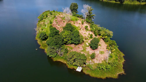 High angle view of plant by lake