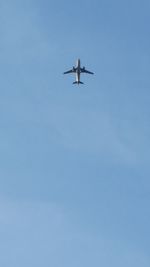 Low angle view of bird flying in sky