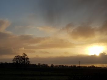 Silhouette trees on field against sky during sunset