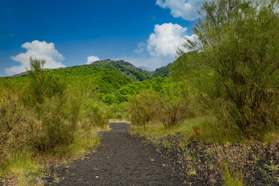 The road that climbs up the etna volcano