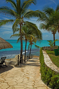 Palm trees at beach against sky