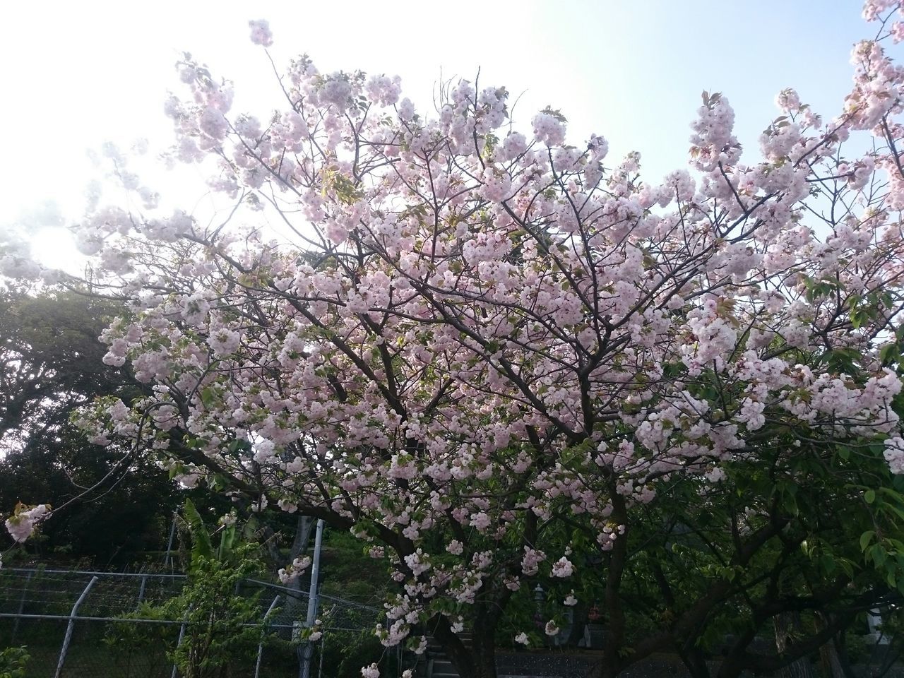 鷹ノ島公園