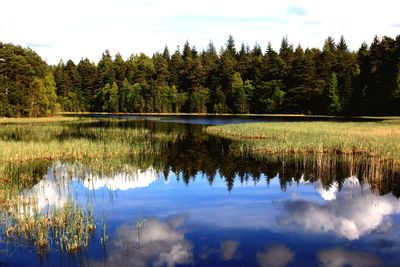 Scenic view of lake against sky