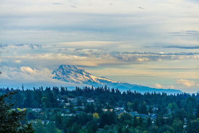 A blanked of clouds covers mount rainier in washington state.