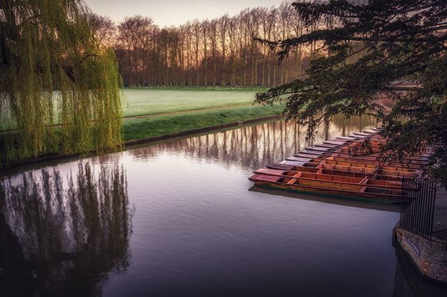 tree, water, tranquility, nature, lake, tranquil scene, reflection, scenics, outdoors, beauty in nature, day, growth, wood - material, river, forest, built structure, sunlight, sky