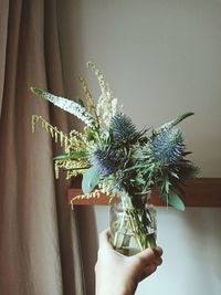 Close-up of hand holding plant