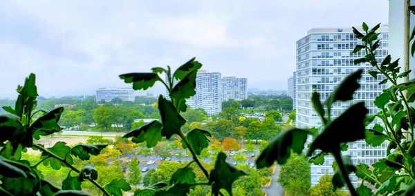 Plants and buildings against sky