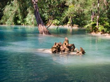 People on rock by sea