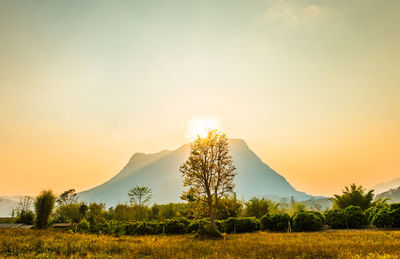 Scenic view of field against sky during sunset