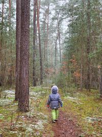 Rear view of woman standing in forest