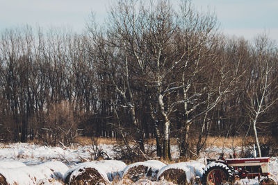 Bare trees on field against sky during winter