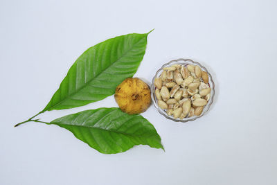 Directly above shot of fruits and leaves on white background