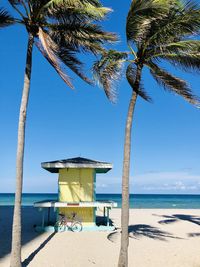Palm trees on beach against sky