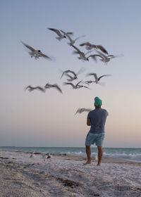 Full length rear view of young man flying birds on beach