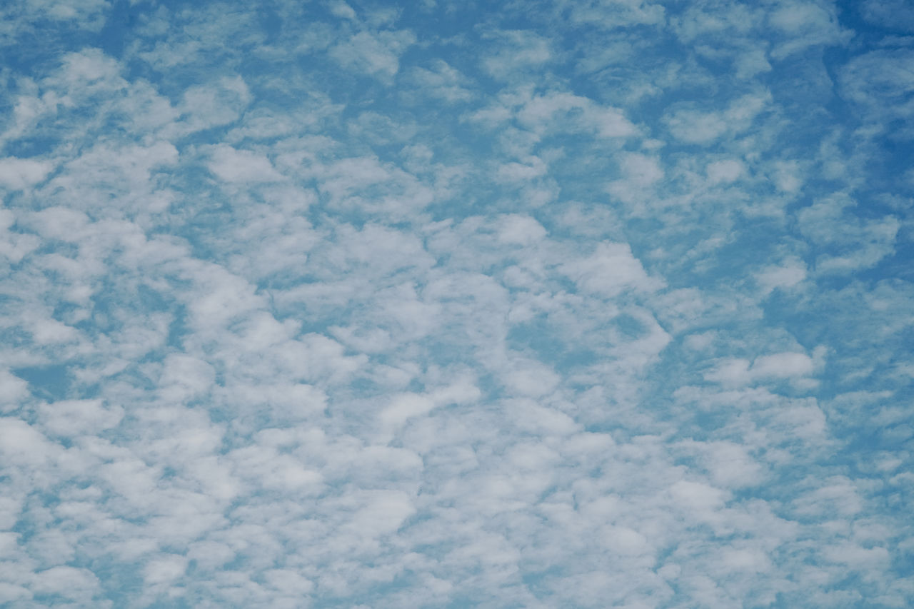 sky, cloud, backgrounds, blue, no people, full frame, nature, cloudscape, pattern, white, azure, day, beauty in nature, textured, outdoors, scenics - nature, fluffy, idyllic, environment, tranquility, abstract, snow, winter, aerial view, softness, cold temperature